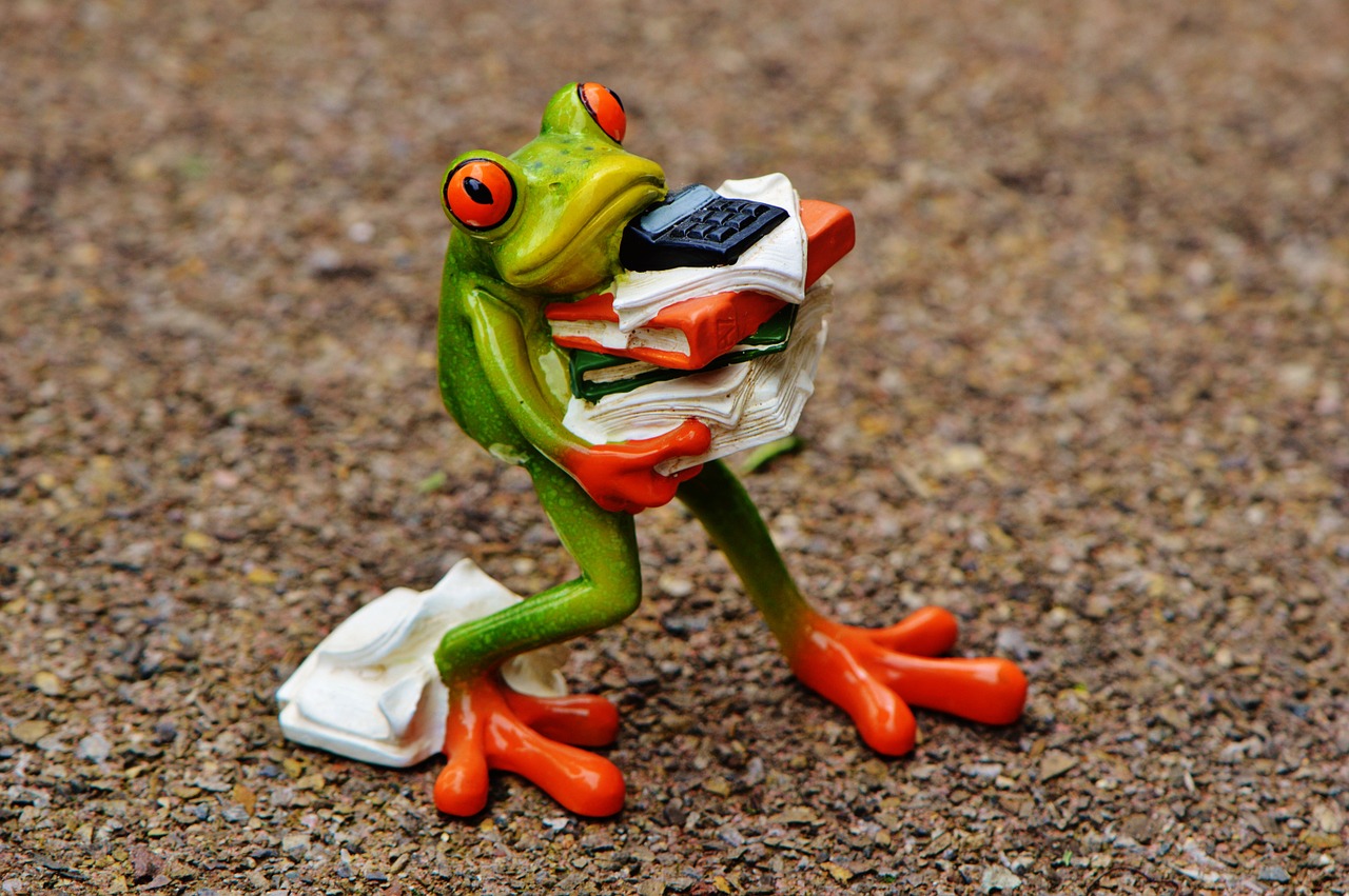 frog carrying pile of books and papers