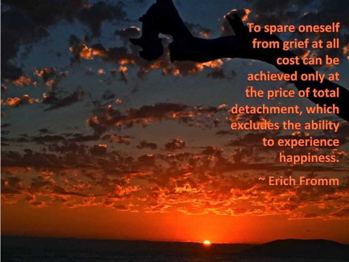 To spare oneself from grief at any cost can be achieved only at the price of total detachment which excludes the ability to experience happiness. ~Erich Fromm